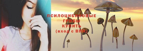 молекула духа Киренск