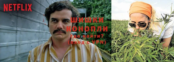 молекула духа Киренск