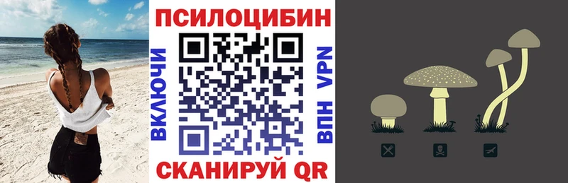 Псилоцибиновые грибы Cubensis Купить закладки Новоузенск